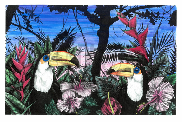 Dos Toucans