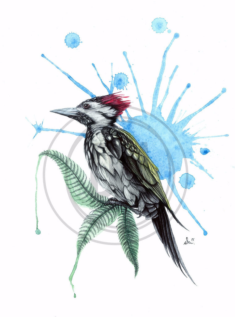 Woodpecker