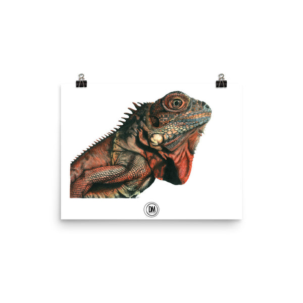 Iguana Poster