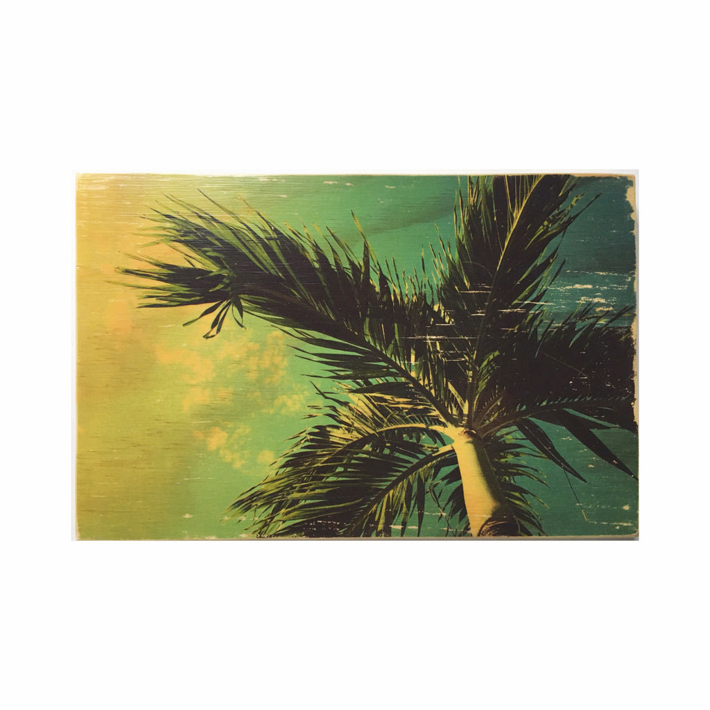 Palm Tree Wood Photo